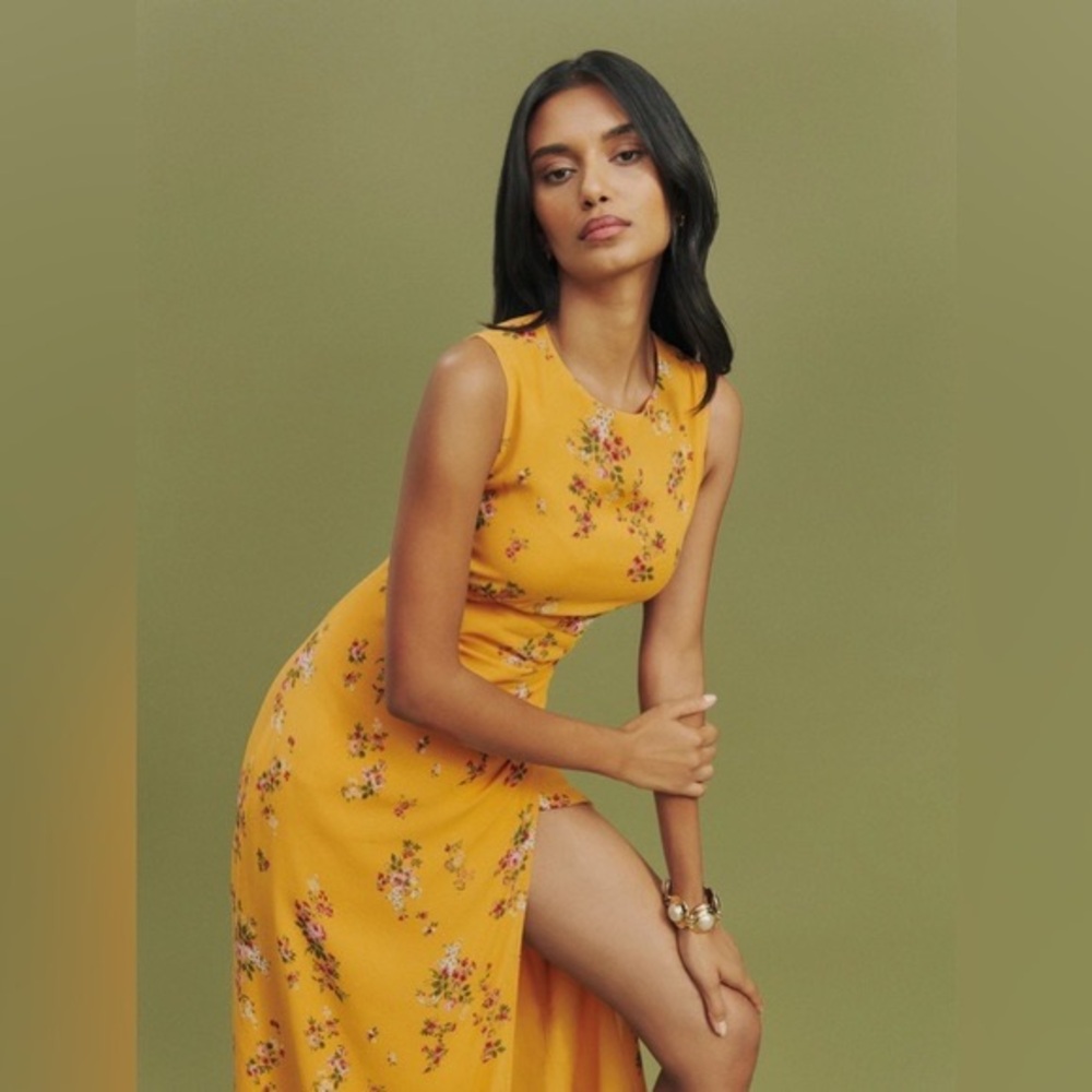 Reformation Sancerre Ledger Dress